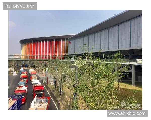 今日体育早报全景速递 赛事快览与球星最新动态直击